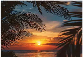 Wallarena Vlies Meer 400x280 cm Fototapeten f&uuml;r Wohnzimmer Schlafzimmer Wandtapete 3D Effektinkl. Kleister Strand Sonnenuntergang Bl&auml;tter Natur (15986VX8)