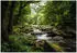 Wallarena Mehrfarbig Papier Uni Rechteckig 400x280 cm FSC 100% & Wandverkleidungen Fototapeten (800001303221)