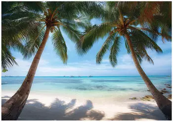 Wallarena Vlies Strand und Meer 350x250 cm Fototapeten f&uuml;r Wohnzimmer Schlafzimmer Wandtapete 3D Effektinkl. Kleister Landschaft Tropisch Natur (15755VX7)