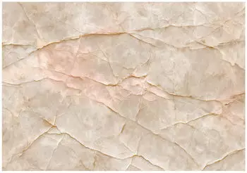 Wallarena Mehrfarbig Papier Uni Rechteckig 250x175 cm FSC 100% & Wandverkleidungen Fototapeten (800001475733)