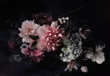 Wallarena Vlies Blumen Vintage Rosen Schwarz Dunkel Pfingstrose 254x184 cm Fototapeten für Wohnzimmer Schlafzimmer Wandtapete 3D Effektinkl. Kleister