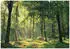 Wallarena Grün Papier Baum/Pflanze/Natur Rechteckig 250x175 cm FSC 100% & Wandverkleidungen Fototapeten (800000981742)