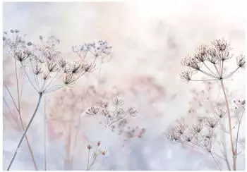Wallarena Vlies Blumen 350x250 cm Fototapeten f&uuml;r Wohnzimmer Schlafzimmer Wandtapete 3D Effektinkl. Kleister Boho Natur wei&szlig; blau (15957VX7)