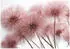 Wallarena Mehrfarbig Papier Baum/Pflanze/Natur Rechteckig 350x250 cm FSC 100% & Wandverkleidungen Fototapeten (800001157765)