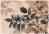 Wallarena Mehrfarbig Papier Uni Rechteckig 400x280 cm FSC 100% & Wandverkleidungen Fototapeten (800001303377)