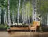 Wallarena Mehrfarbig Papier Baum/Pflanze/Natur Rechteckig 150x105 cm FSC 100% & Wandverkleidungen Fototapeten (800001045884)