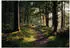 Wallarena Mehrfarbig Papier Uni Rechteckig 400x280 cm FSC 100% & Wandverkleidungen Fototapeten (800001475866)