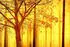 Architects Paper Atelier 47 Edge Wald (70100064)