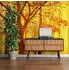 Architects Paper Atelier 47 Edge Wald (70100064)