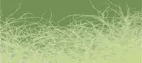 Architects Paper Fototapete "Atelier 47 Thorn Style 1" floral glatt Vlies, Wand,