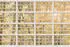 Architects Paper Atelier 47 Brick of Glass Fenster (98188368)