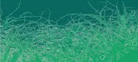 Architects Paper Fototapete "Atelier 47 Thorn Style 1" floral glatt Vlies, Wand,