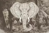 Architects Paper Fototapete "Atelier 47 Elephant Head 1" orientalisch glatt...
