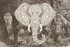 Architects Paper Atelier 47 Elephant Head Tiere (22740640)