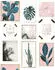 Superfresco Easy 104951 MADDY Botanik Bilder
