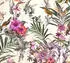 Bricoflor A.S. Création Vogel Floral Grün Beige 381786 Blumen mit Tieren für Küche 10,05x0,53m Made in Germany