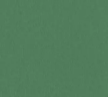 Bricoflor A.S. Cr&eacute;ation VERSACE WALLPAPER Designer Gr&uuml;n Einfarbig Luxus leicht gl&auml;nzend 383838 10,05x0,70m Made in Germany