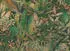 Livingwalls Designwalls 2 Fototapete Floral Jungle Vlies Dunkelgrün Gold 2,55x3,5m (67904736-0)