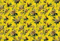 living walls Fototapete "Walls by Patel Wild Roses 5" glatt Vlies, Wand,...