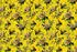 Livingwalls Walls by Patel 2 Wild Roses 5 Fototapete Vlies, Gelb/Grün (10157804-0)