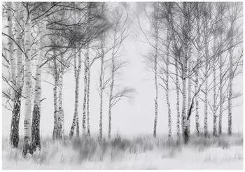 Wallarena Mehrfarbig Papier Baum/Pflanze/Natur Rechteckig 150x105 cm FSC 100% & Wandverkleidungen Fototapeten (800001130045)