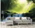 Wallarena Mehrfarbig Papier Baum/Pflanze/Natur Rechteckig 300x210 cm FSC 100% & Wandverkleidungen Fototapeten (800001158106)