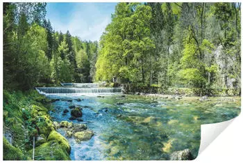 Wallarena Mehrfarbig Papier Baum/Pflanze/Natur Rechteckig 400x280 cm FSC 100% & Wandverkleidungen Fototapeten (800000781324)