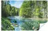 Wallarena Mehrfarbig Papier Baum/Pflanze/Natur Rechteckig 400x280 cm FSC 100% & Wandverkleidungen Fototapeten (800000781324)