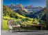 Wallarena Mehrfarbig Papier Baum/Pflanze/Natur Rechteckig 300x210 cm FSC 100% & Wandverkleidungen Fototapeten (800000803660)