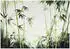 Wallarena Vlies Bambus 300x210 cm Fototapeten für Wohnzimmer Schlafzimmer Wandtapete 3D Effektinkl. Kleister Tropisch Botanisch grün Natur (15560VX6)