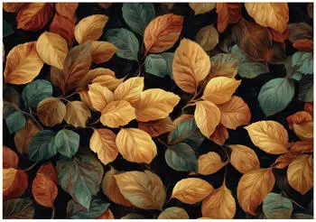 Wallarena Mehrfarbig Papier Uni Rechteckig 250x175 cm FSC 100% & Wandverkleidungen Fototapeten (800001475869)