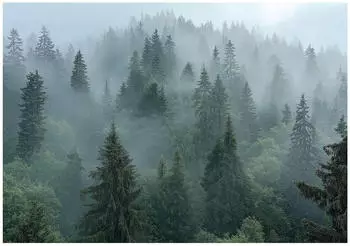 Wallarena Mehrfarbig Papier Baum/Pflanze/Natur Rechteckig 250x175 cm FSC 100% & Wandverkleidungen Fototapeten (800001157598)