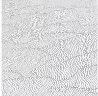 A.S. Cr&eacute;ation Strukturtapete Silber Wei&szlig; Metallic - Architects Paper Arcade...