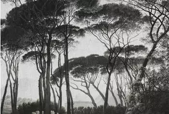 Architects Paper Atelier 47 Treetops Wald (22394526)