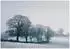Wallarena Mehrfarbig Papier Uni Rechteckig 250x175 cm FSC 100% & Wandverkleidungen Fototapeten (800001212073)