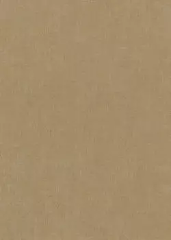 Erismann Gold Uni (1053930)