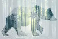 Architects Paper Fototapete "Atelier 47 Bear Forest 1" Wald glatt Vlies, Wand,
