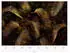 Erismann Glossy Palms Fototapete Vlies, gold, 400x270cm (2243-10)