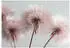 Wallarena Mehrfarbig Papier Baum/Pflanze/Natur Rechteckig 250x175 cm FSC 100% & Wandverkleidungen Fototapeten (800001130046)