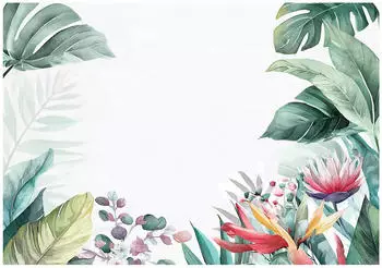 Wallarena Mehrfarbig Papier Uni Rechteckig 400x280 cm FSC 100% & Wandverkleidungen Fototapeten (800001213307)