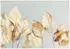 Wallarena Mehrfarbig Papier Baum/Pflanze/Natur Rechteckig 300x210 cm FSC 100% & Wandverkleidungen Fototapeten (800001020107)