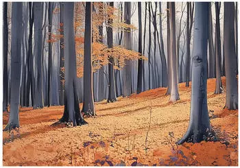 Wallarena Mehrfarbig Papier Baum/Pflanze/Natur Rechteckig 250x175 cm FSC 100% & Wandverkleidungen Fototapeten (800001020365)