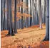 Wallarena Mehrfarbig Papier Baum/Pflanze/Natur Rechteckig 250x175 cm FSC 100% & Wandverkleidungen Fototapeten (800001020365)