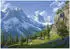Wallarena Mehrfarbig Papier Baum/Pflanze/Natur Rechteckig 350x250 cm FSC 100% & Wandverkleidungen Fototapeten (800001158222)
