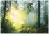 Wallarena Mehrfarbig Papier Baum/Pflanze/Natur Rechteckig 250x175 cm FSC 100% & Wandverkleidungen Fototapeten (800001158292)