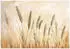Wallarena Mehrfarbig Papier Baum/Pflanze/Natur Rechteckig 150x105 cm FSC 100% & Wandverkleidungen Fototapeten (800000981916)