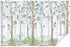 Wallarena Vlies Wald 400x280 cm Fototapeten für Wohnzimmer Schlafzimmer Wandtapete 3D Effektinkl. Kleister Birken Natur Landschaft grün (14068VX8)