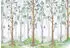 Wallarena Vlies Wald 400x280 cm Fototapeten für Wohnzimmer Schlafzimmer Wandtapete 3D Effektinkl. Kleister Birken Natur Landschaft grün (14068VX8)