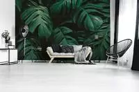 A.S. Cr&eacute;ation Vliestapete "Fototapete Monstera Bl&auml;tter Dunkelgr&uuml;n Tropisch"...