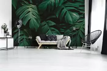 Livingwalls Fototapete Monstera Bl&auml;tter Dunkelgr&uuml;n Tropisch Vlies 2,55x3,5m (58103161-0)